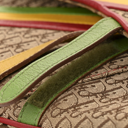 Christian Dior Monogram Rasta Saddle Bag Beige 19 of 20