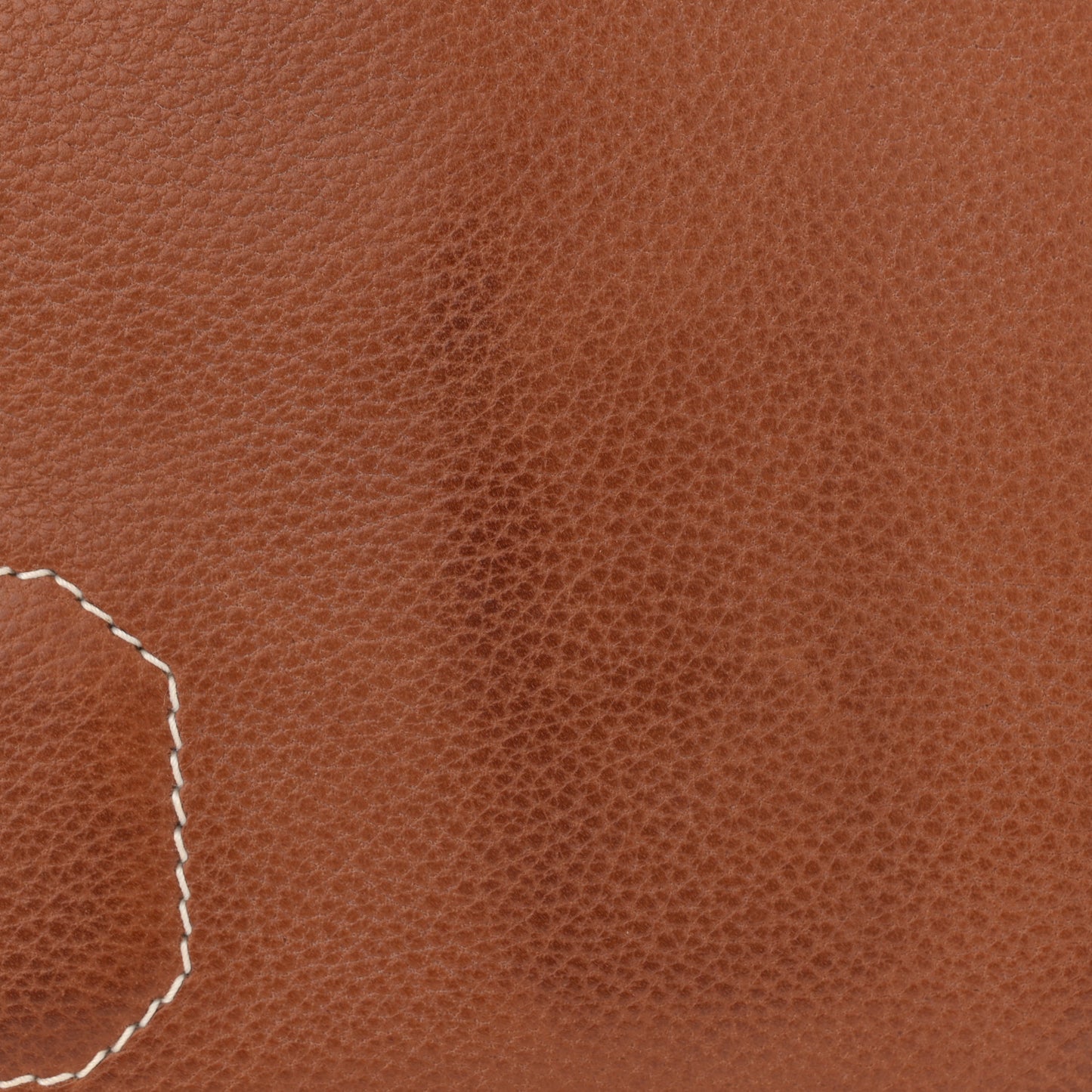 Natural Barenia Faubourg Hac A Dos PM Backpack Fauve