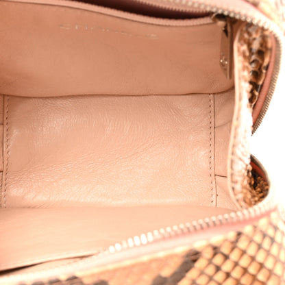 Chanel Snakeskin Mini Shoulder Bag Beige 5 of 13