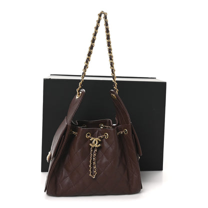 Chanel Caviar Quilted Small Chanel 25 Handbag Dark Brown 11 of 11