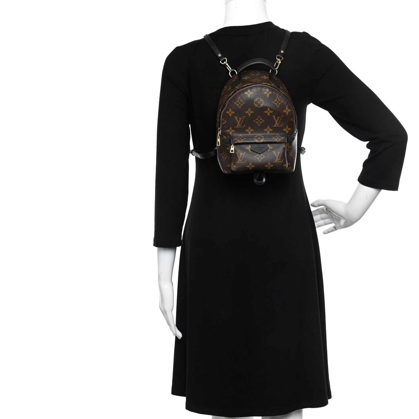 Monogram Palm Springs Backpack Mini