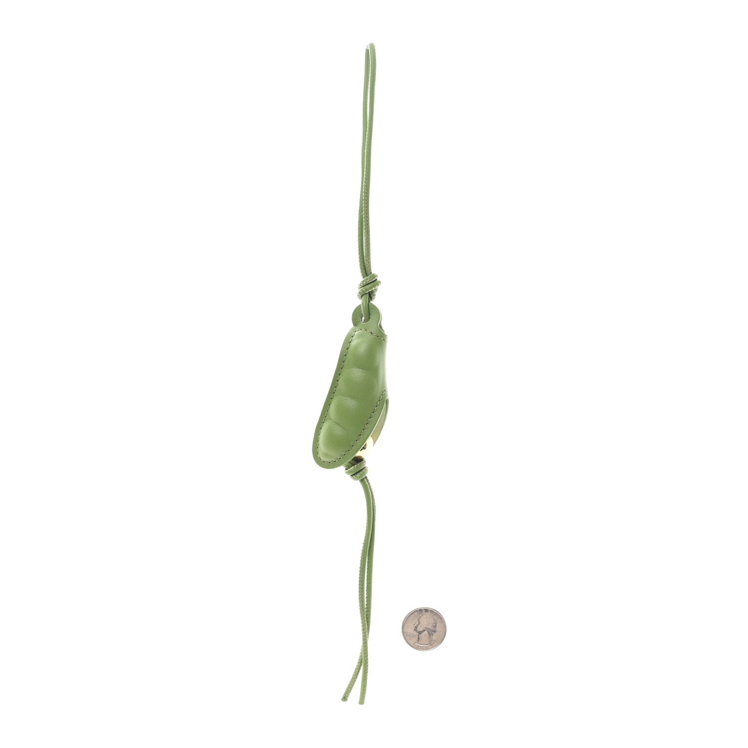 Loewe Calfskin Pea Pod Spring Green Spring Jade 2 of 3