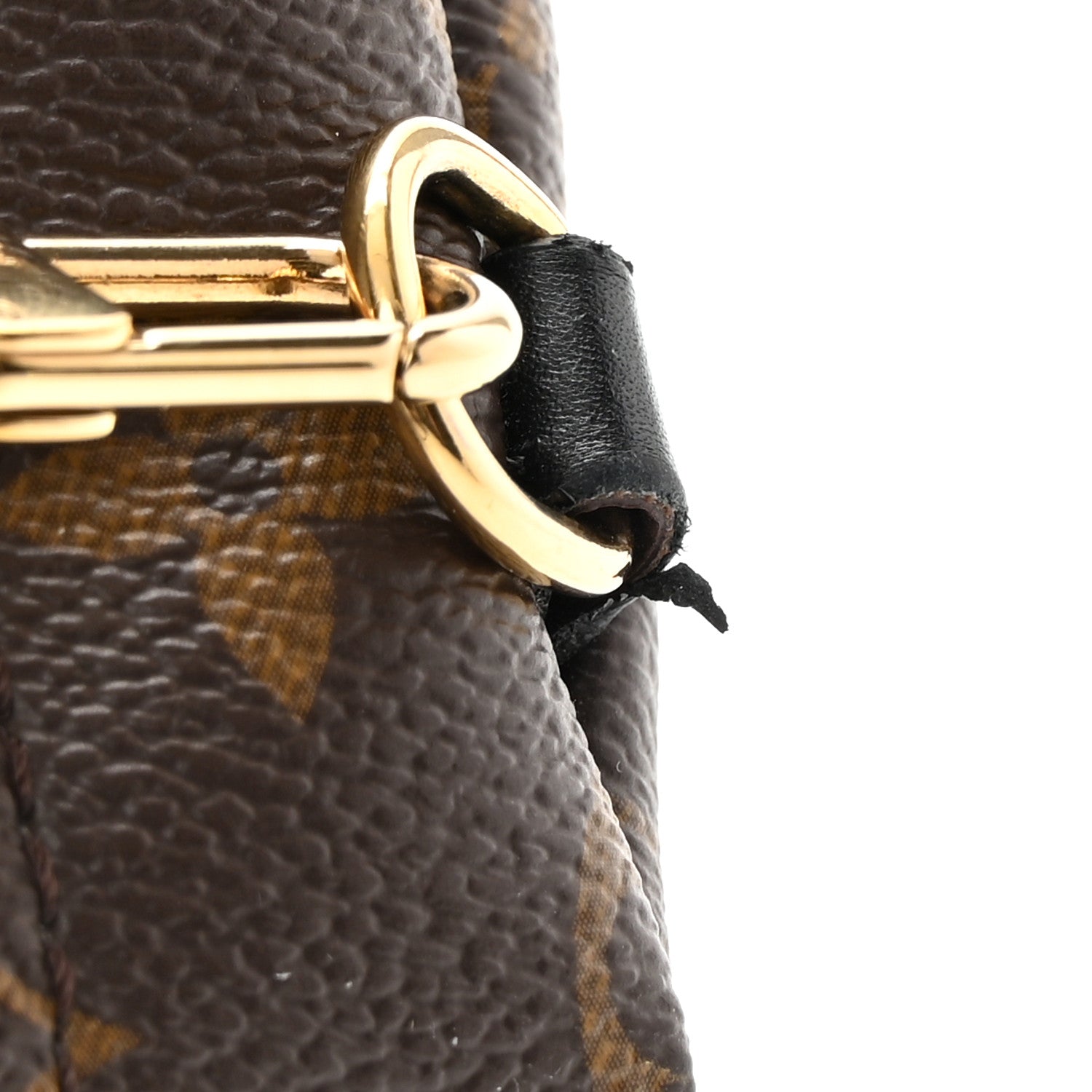 Louis Vuitton Monogram Palm Springs Backpack Mini 16 of 16