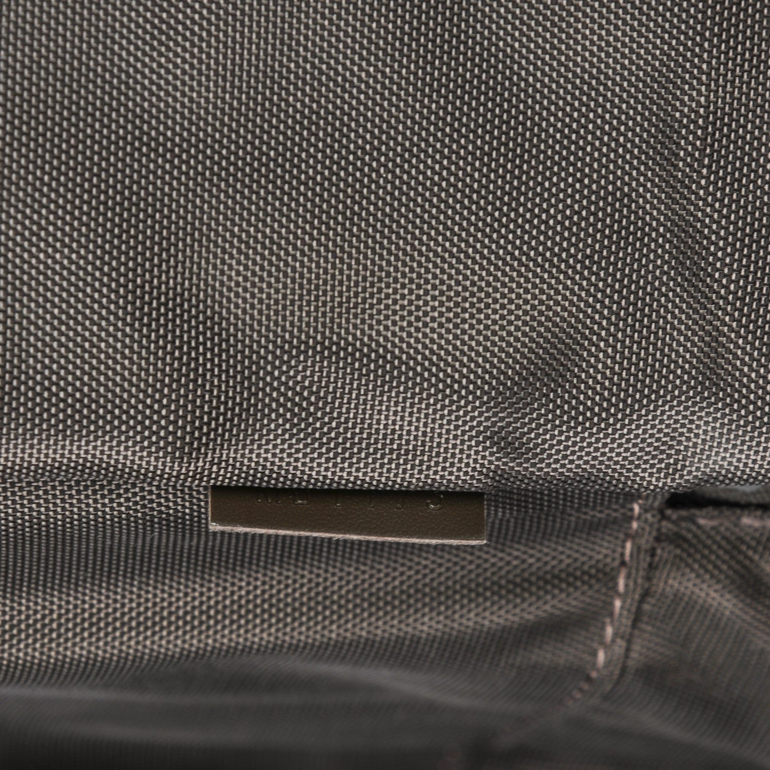 Louis Vuitton Taiga Pégase 45 Grizzli 7 of 8