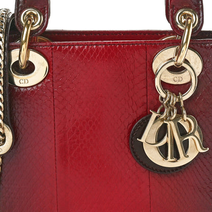 Christian Dior Snakeskin Gradient Mini Lady Dior Red 7 of 10