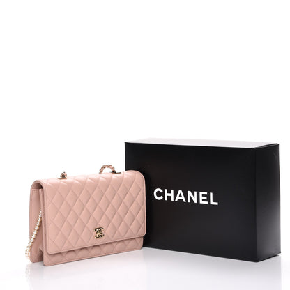 Chanel Lambskin Quilted Fantasy Pearl Flap Nude 9 of 9
