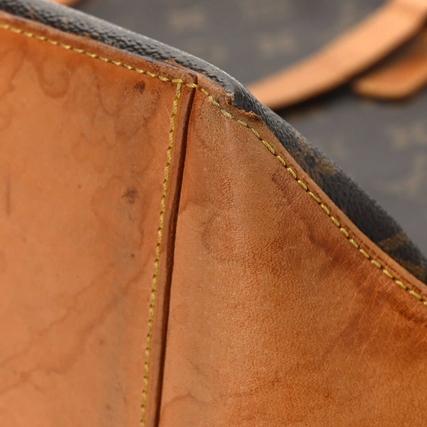 Monogram Cabas Mezzo