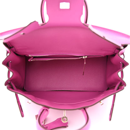 Hermes Togo Birkin 25 Magnolia 5 of 10