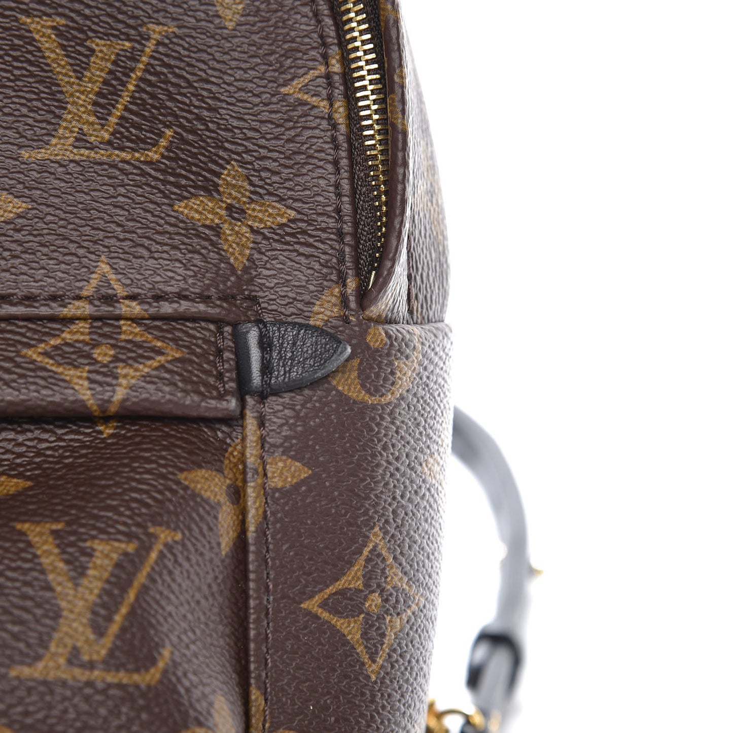 Monogram Palm Springs Backpack Mini