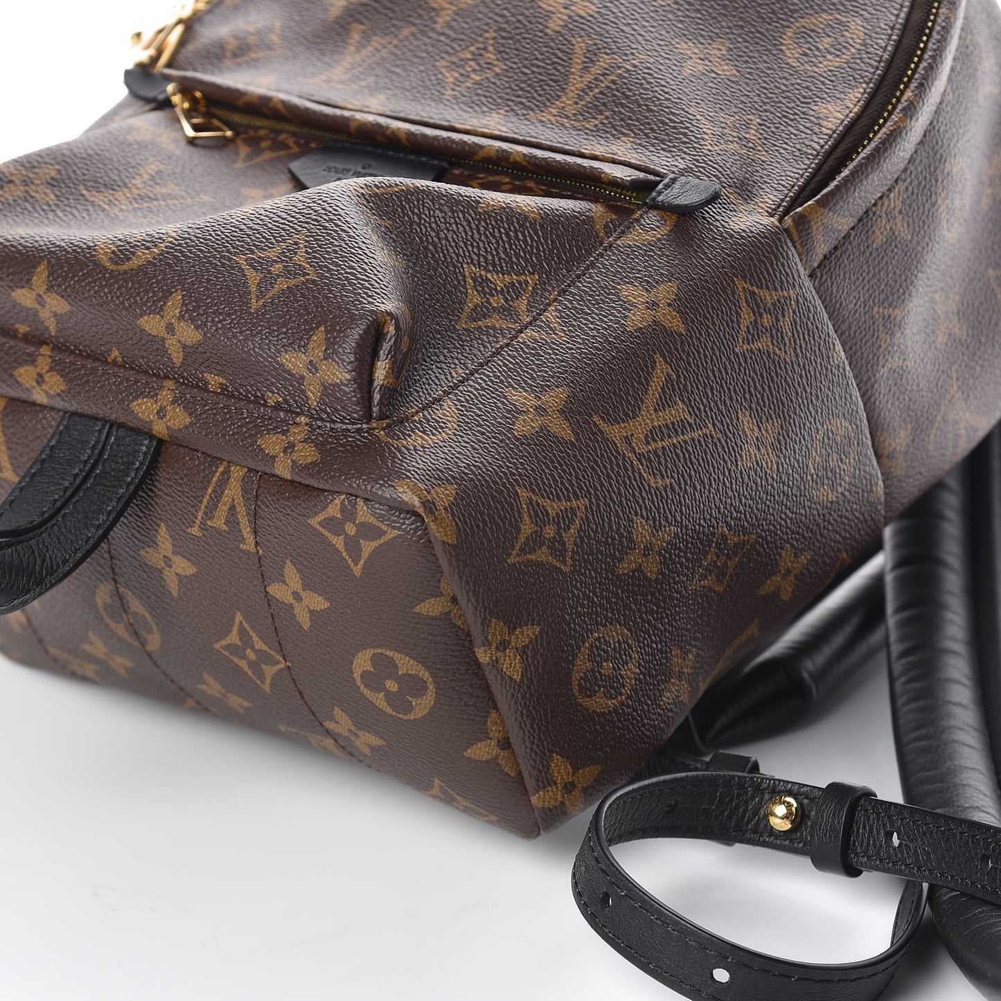 Monogram Palm Springs Backpack PM