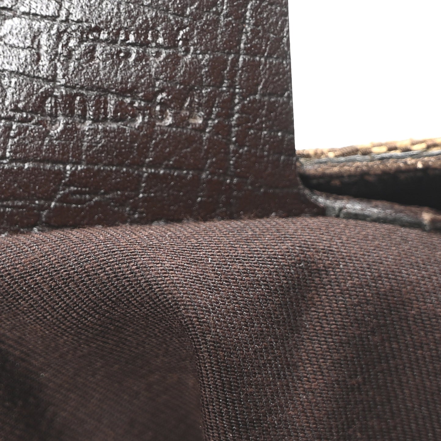 Monogram Hasler Hobo Dark Brown