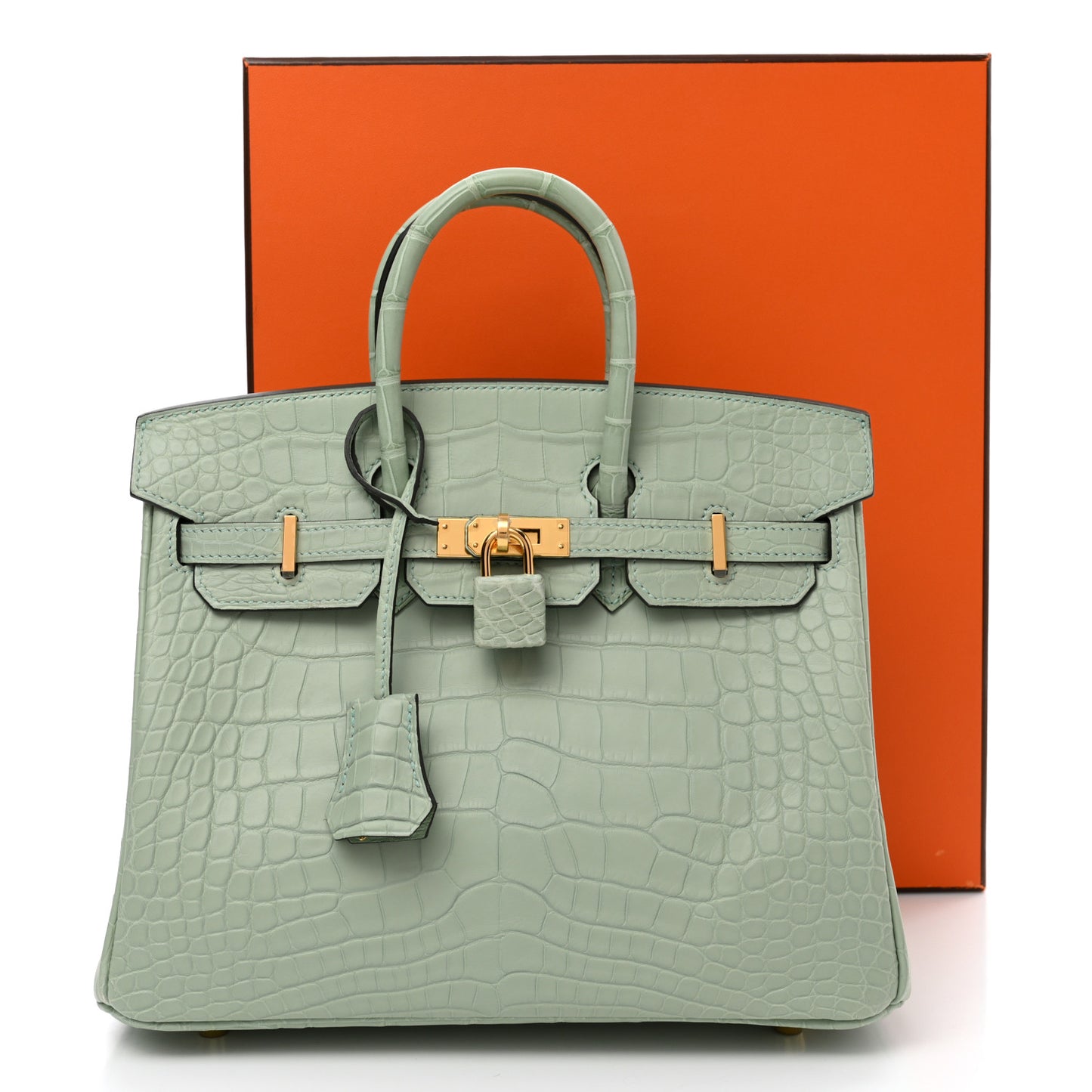 Matte Alligator Birkin 25 Vert D'eau