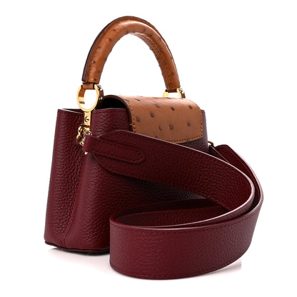 Louis Vuitton Taurillon Ostrich Mini Capucines Griotte Red Honey 3 of 9