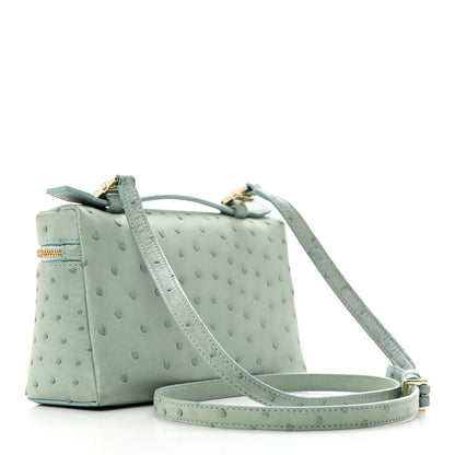 Loro Piana Ostrich L19 Extra Pocket Pouch Light Blue 2 of 9