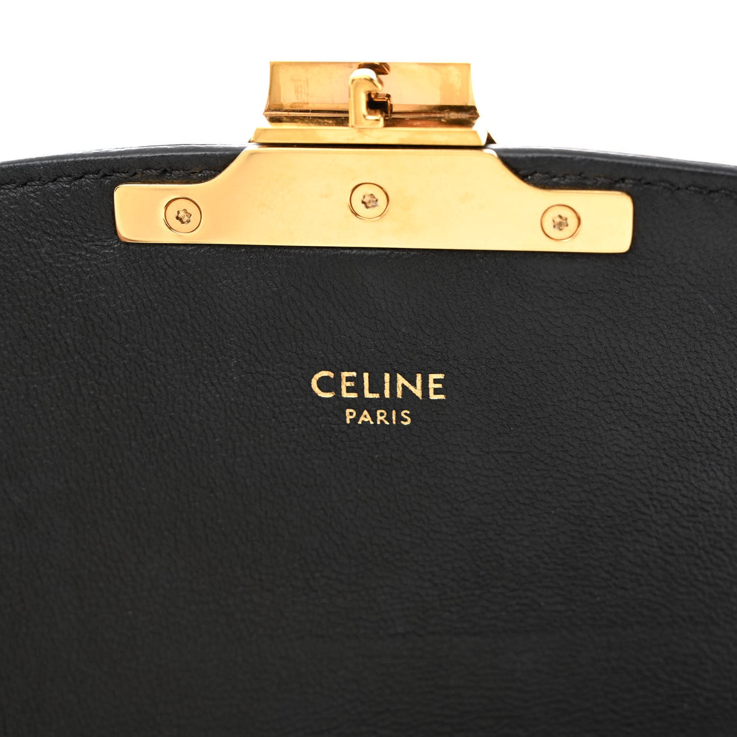 Canvas Calfskin Triomphe Embroidered Teen Triomphe Bag Black