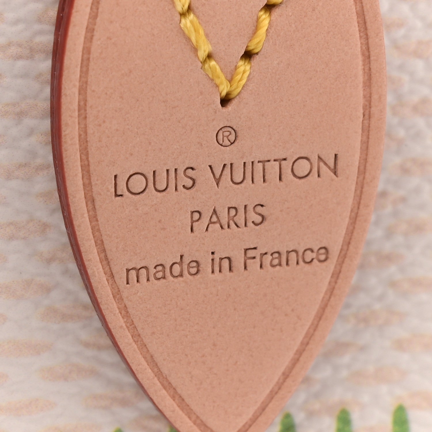 Louis Vuitton Damier Giant Speedy Bandouliere 20 Pistachio 6 of 9