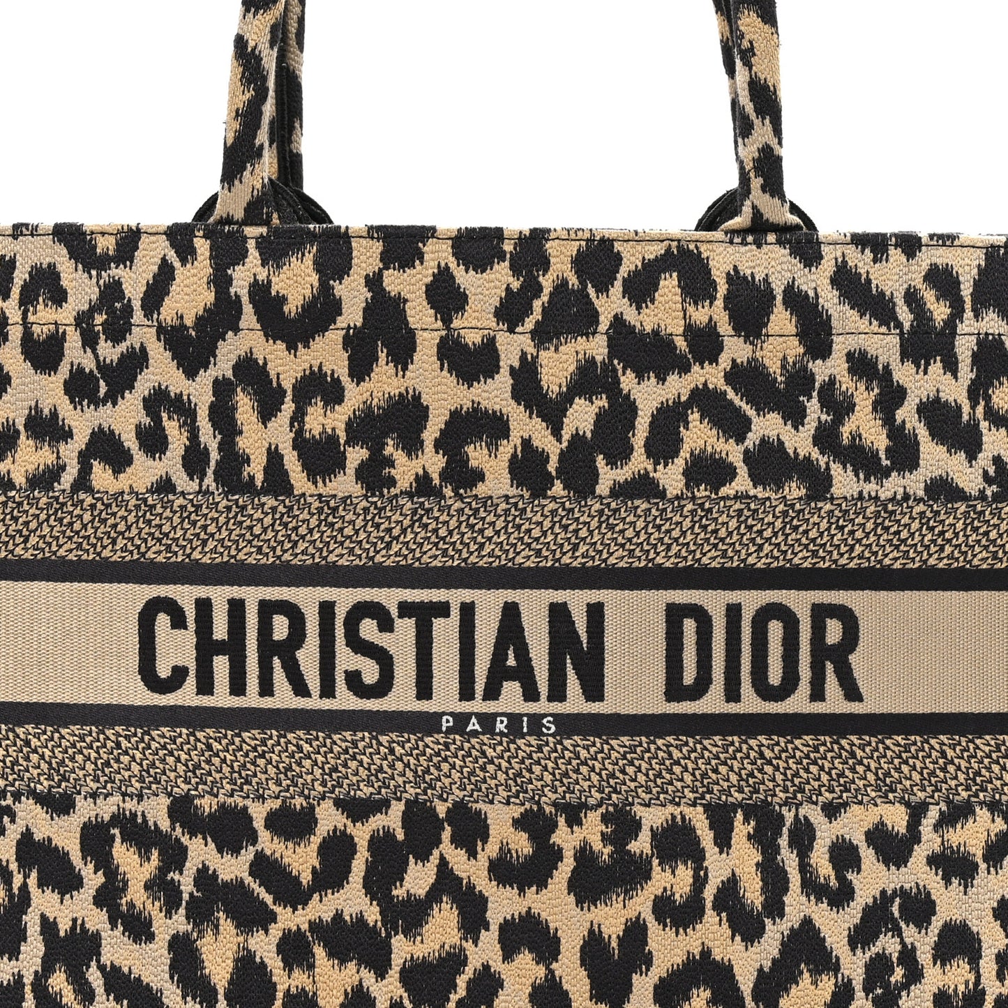 Canvas Mizza Embroidered Medium Leopard Book Tote Beige