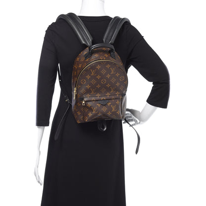 Louis Vuitton Monogram Palm Springs Backpack PM 2 of 8