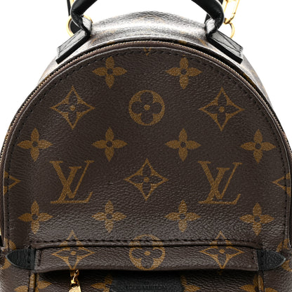 Louis Vuitton Monogram Palm Springs Backpack Mini 7 of 14