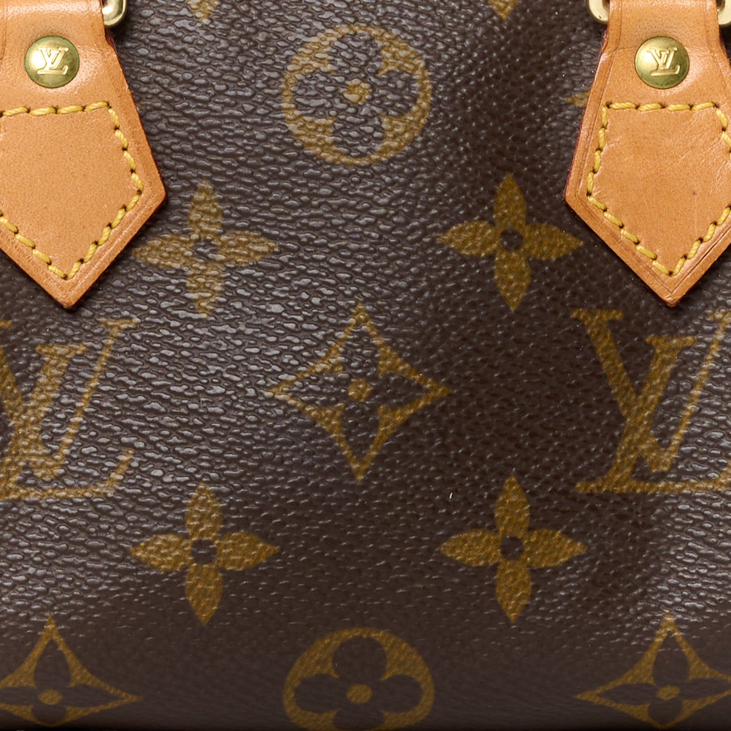Monogram Mini Sac HL Speedy