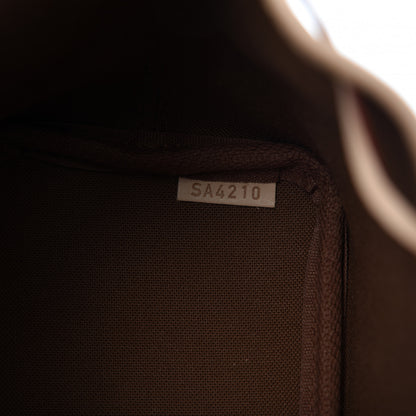 Louis Vuitton Monogram Nano Noe 9 of 9