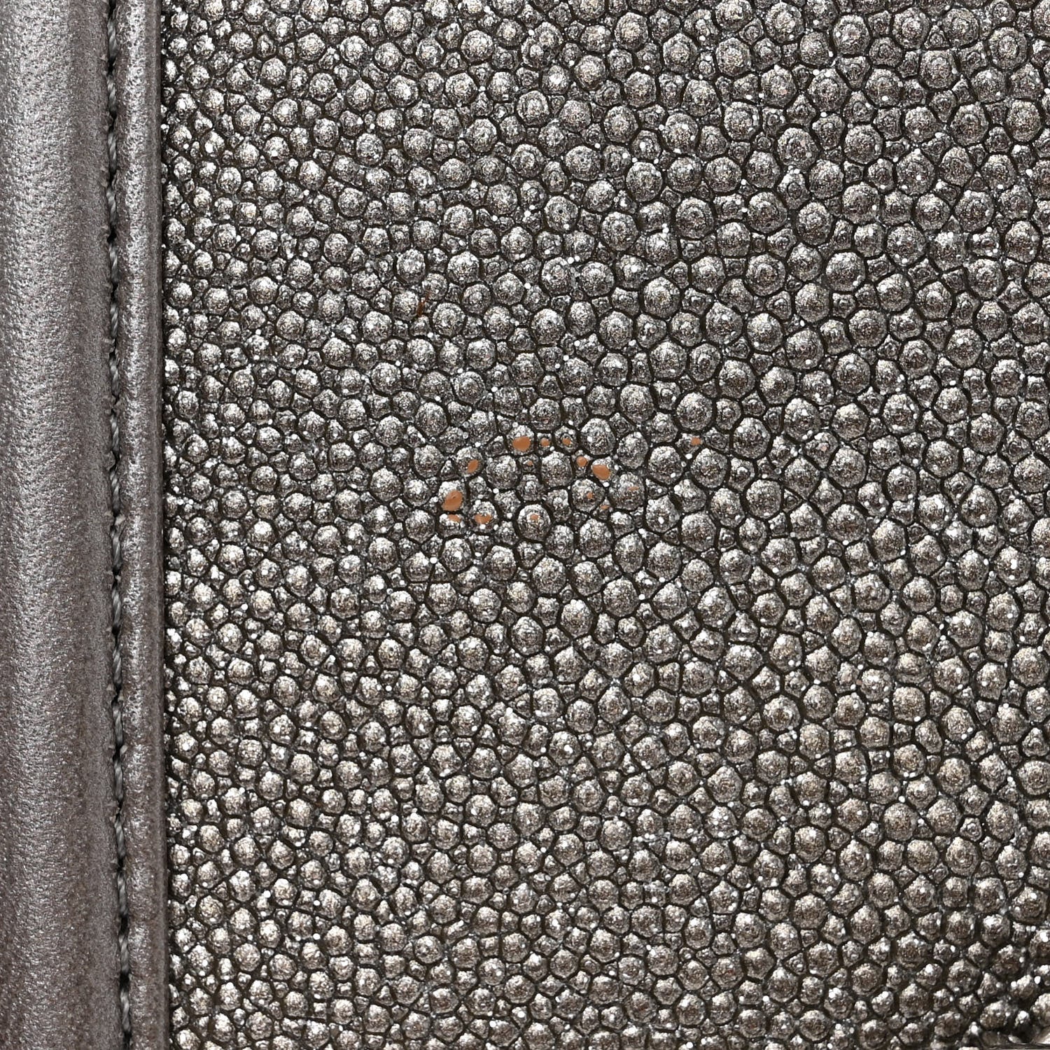 Chanel Galuchat Stingray Small Boy Flap Silver 11 of 11