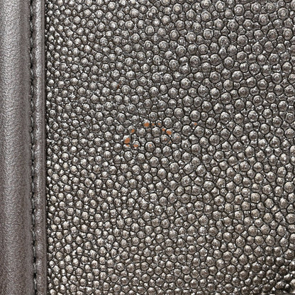 Chanel Galuchat Stingray Small Boy Flap Silver 11 of 11