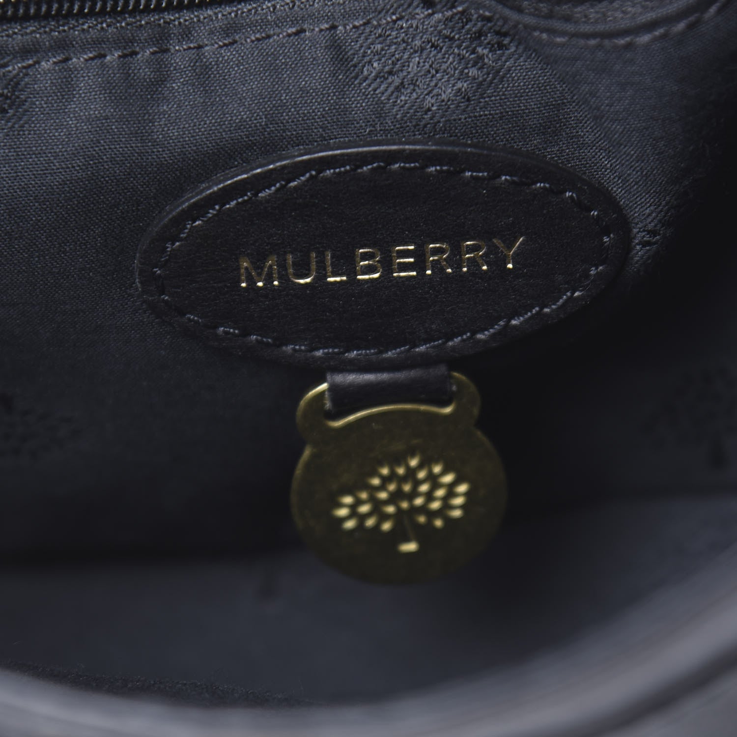 Mulberry Soft Buffalo Mini Alexa Black 6 of 12