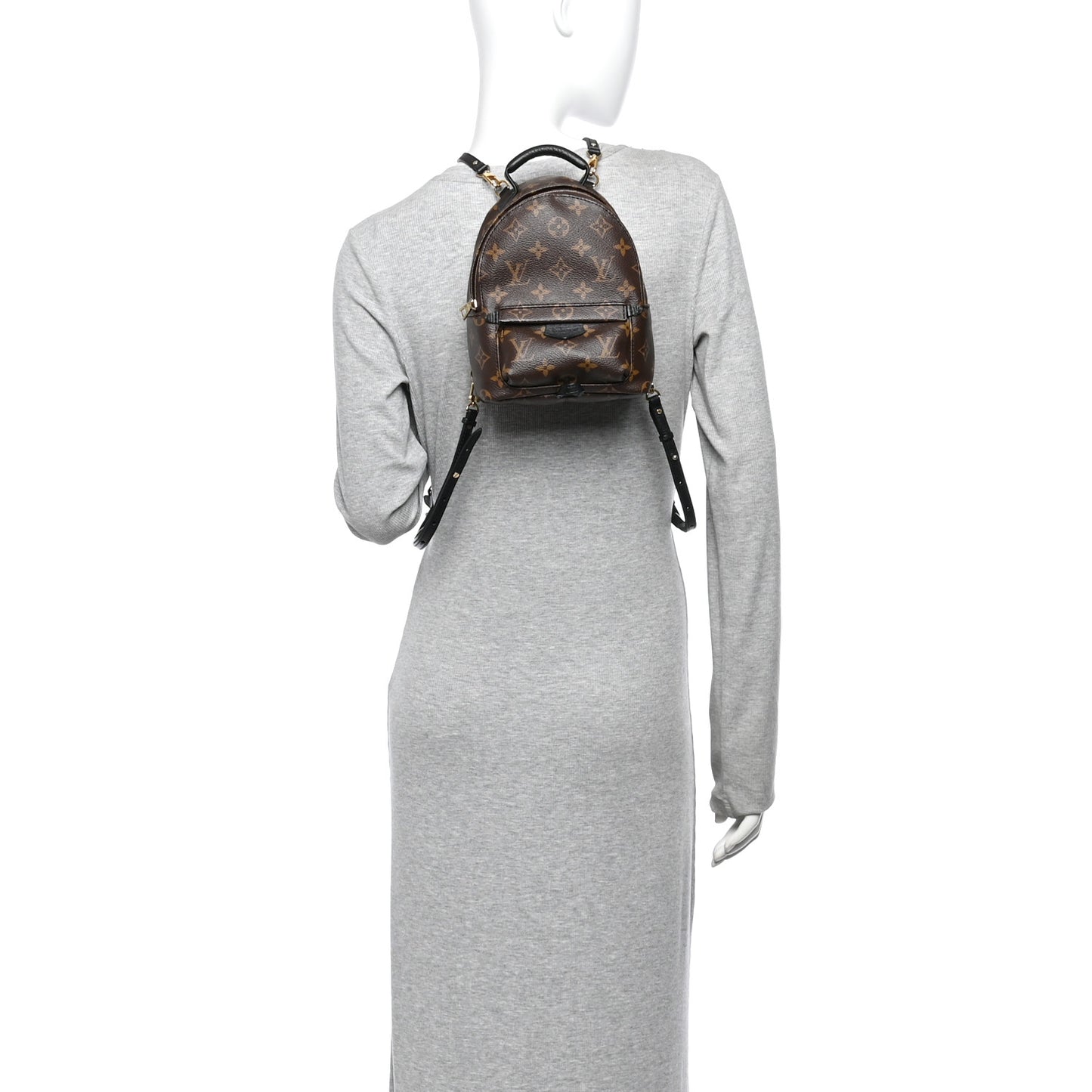 Monogram Palm Springs Backpack Mini