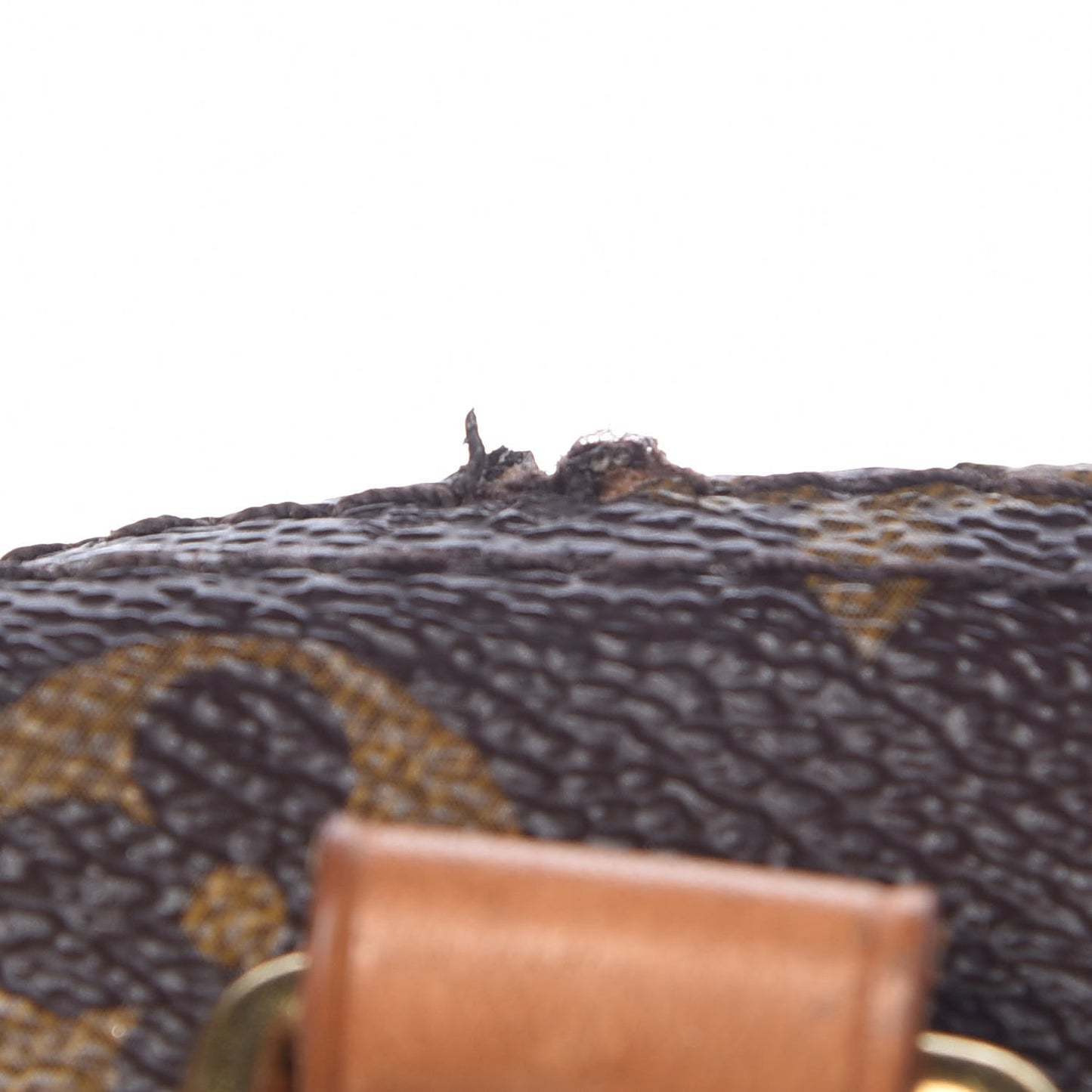 Monogram Speedy Bandouliere 25