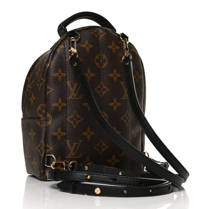 Louis Vuitton Monogram Palm Springs Backpack Mini 3 of 11
