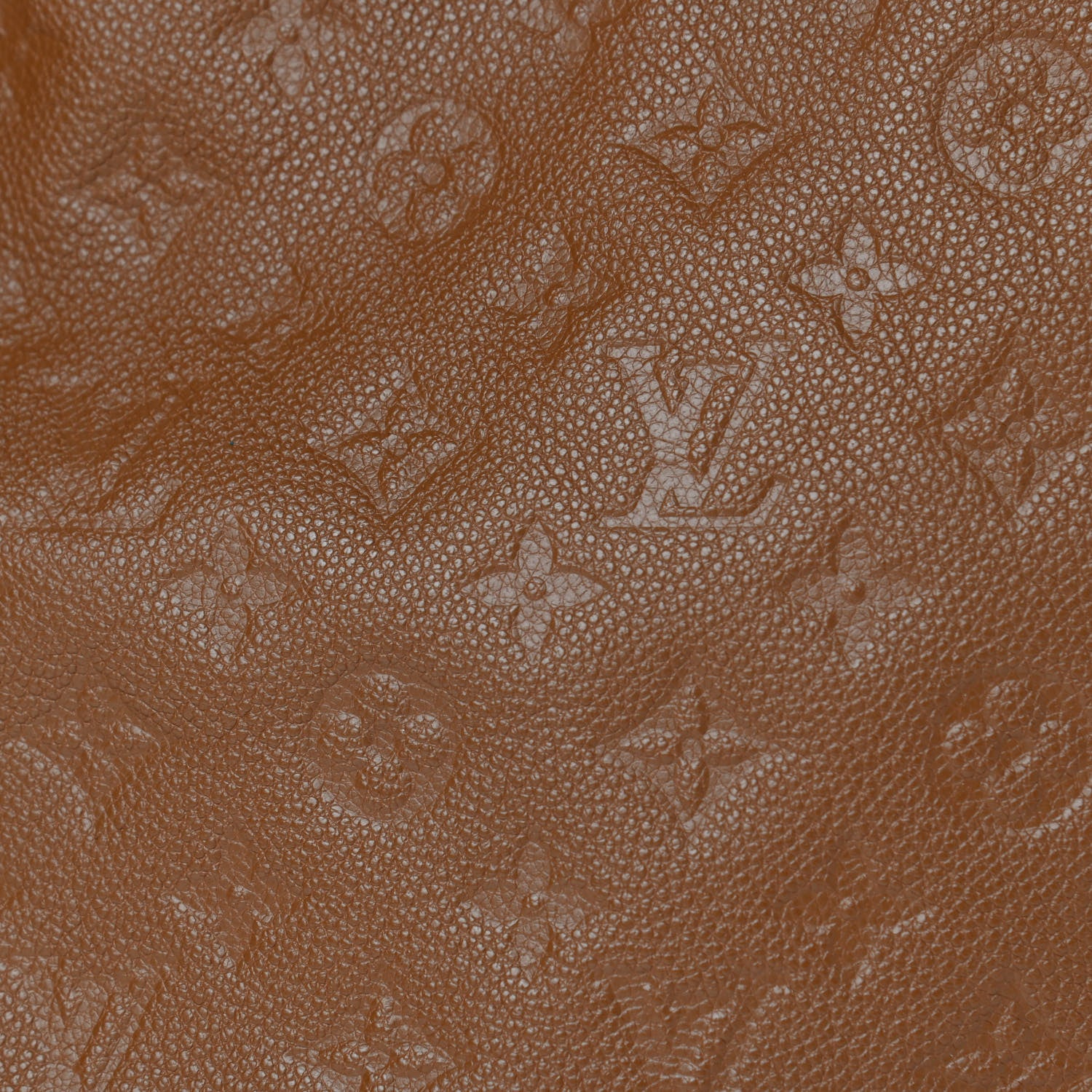 Louis Vuitton Empreinte Artsy MM Havane 8 of 11