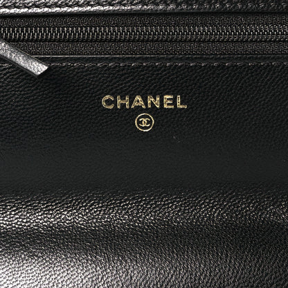 Chanel Shiny Goatskin Quilted Chanel 19 Wallet On Chain WOC Black 5 of 8