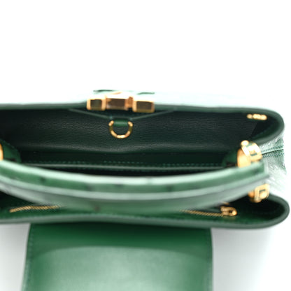 Louis Vuitton Ostrich Capucines BB Mint 5 of 9