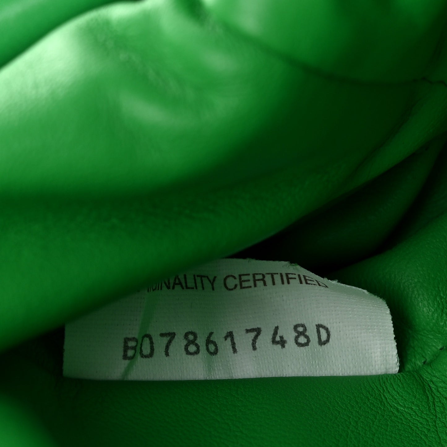 Nappa Intrecciato The Mini Pouch Clutch Parakeet