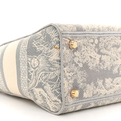 Christian Dior Canvas Toile De Jouy Reverse Embroidered Medium Lady D-Lite Gray 9 of 12