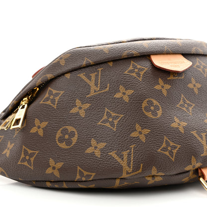 Louis Vuitton Monogram Bumbag 9 of 12