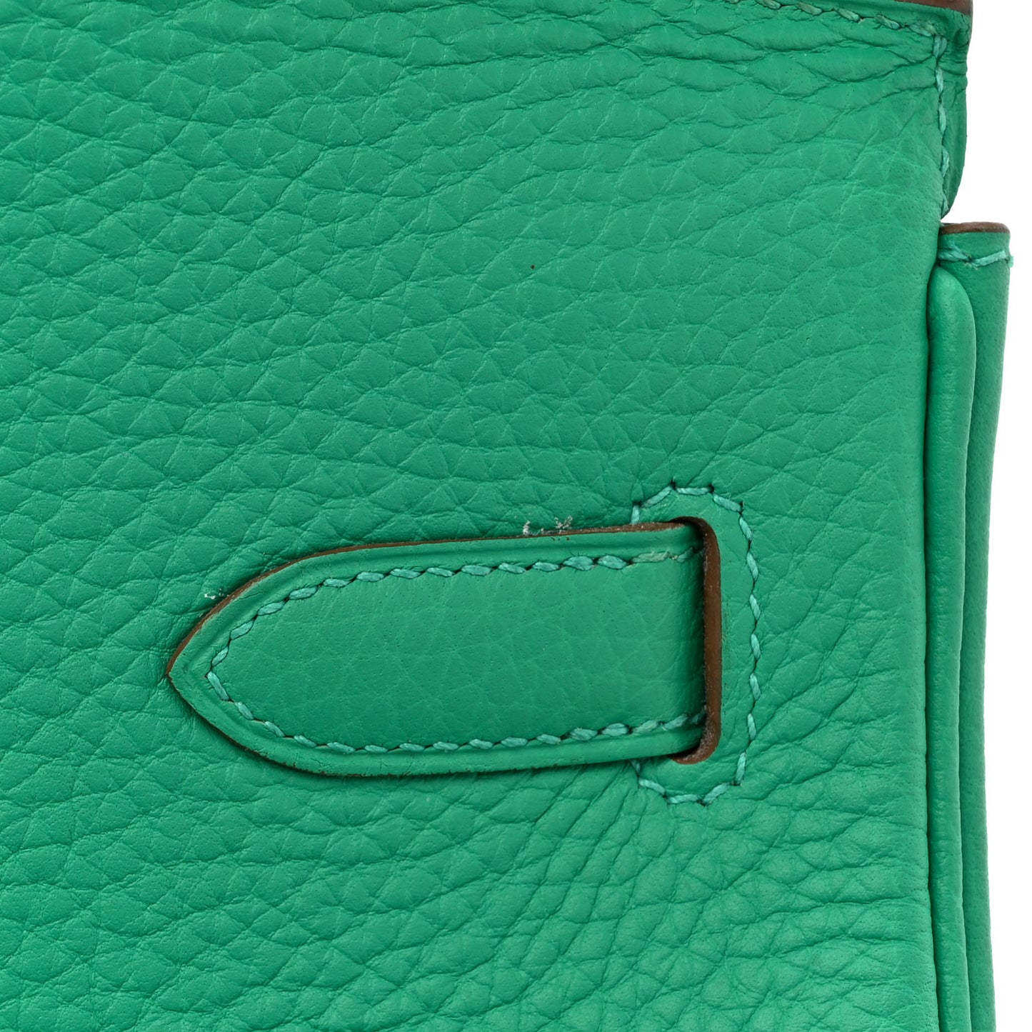 Taurillon Clemence Birkin 40 Menthe