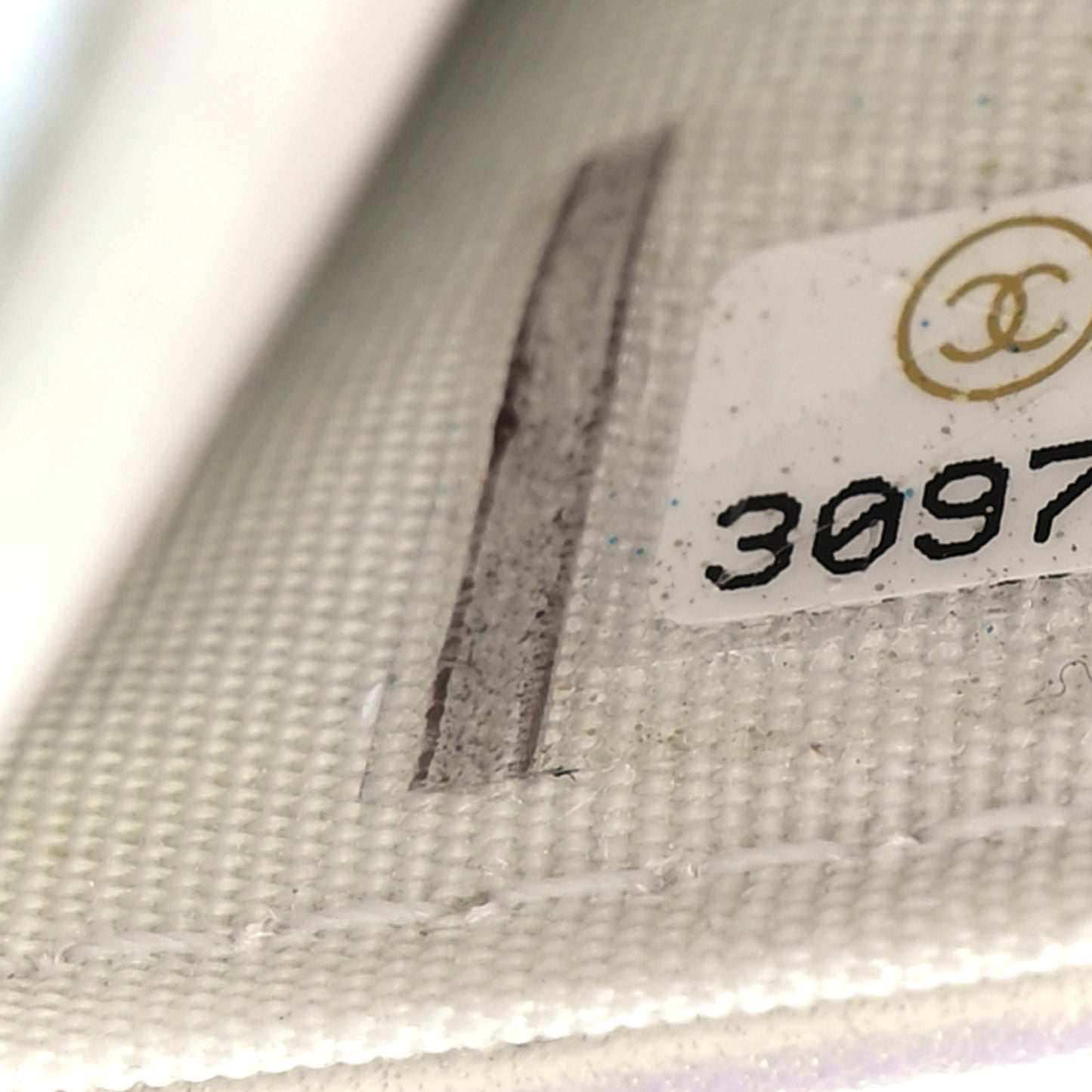 Iridescent Calfskin Quilted Chanel 19 Wallet On Chain WOC White