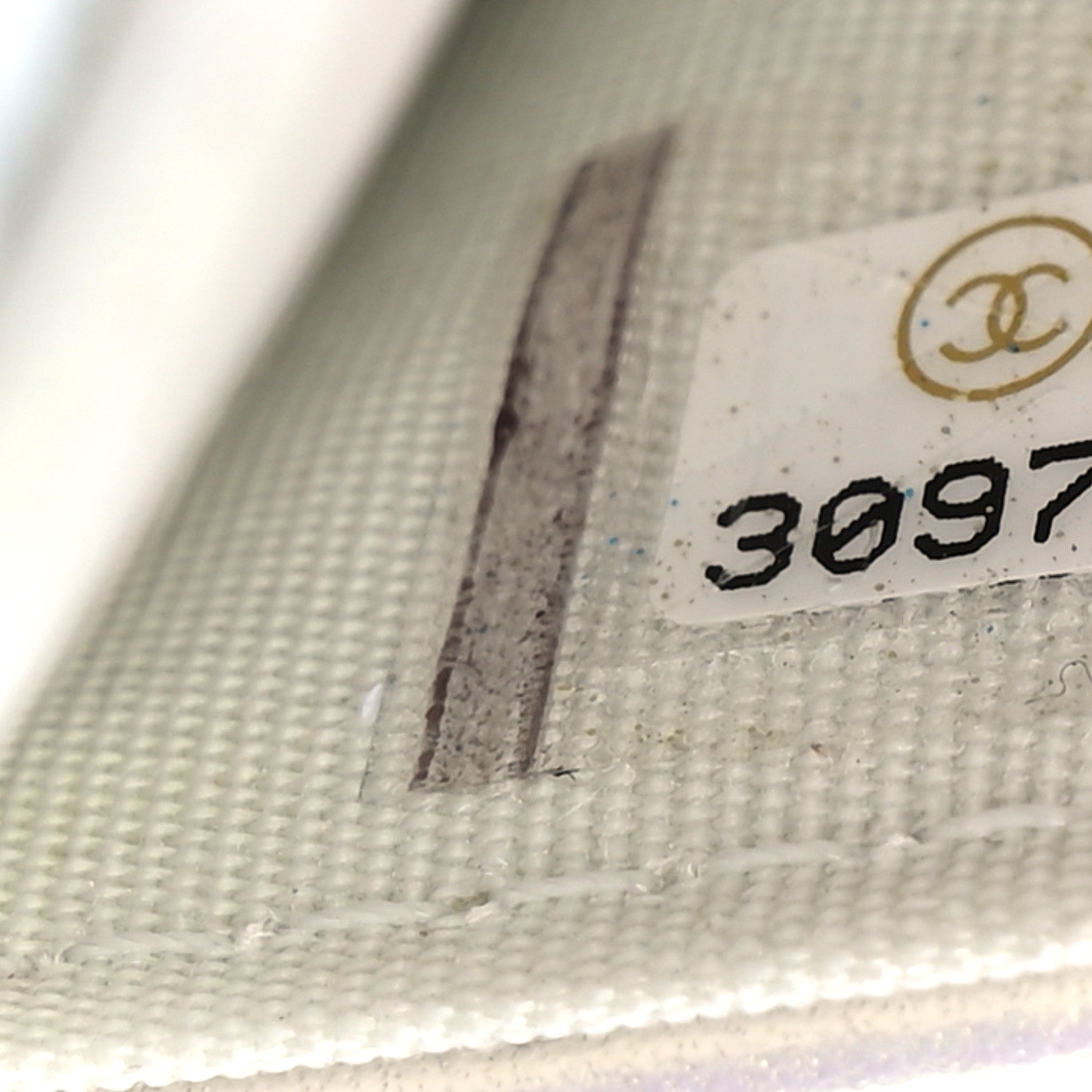 Chanel Iridescent Calfskin Quilted Chanel 19 Wallet On Chain WOC White 8 of 13