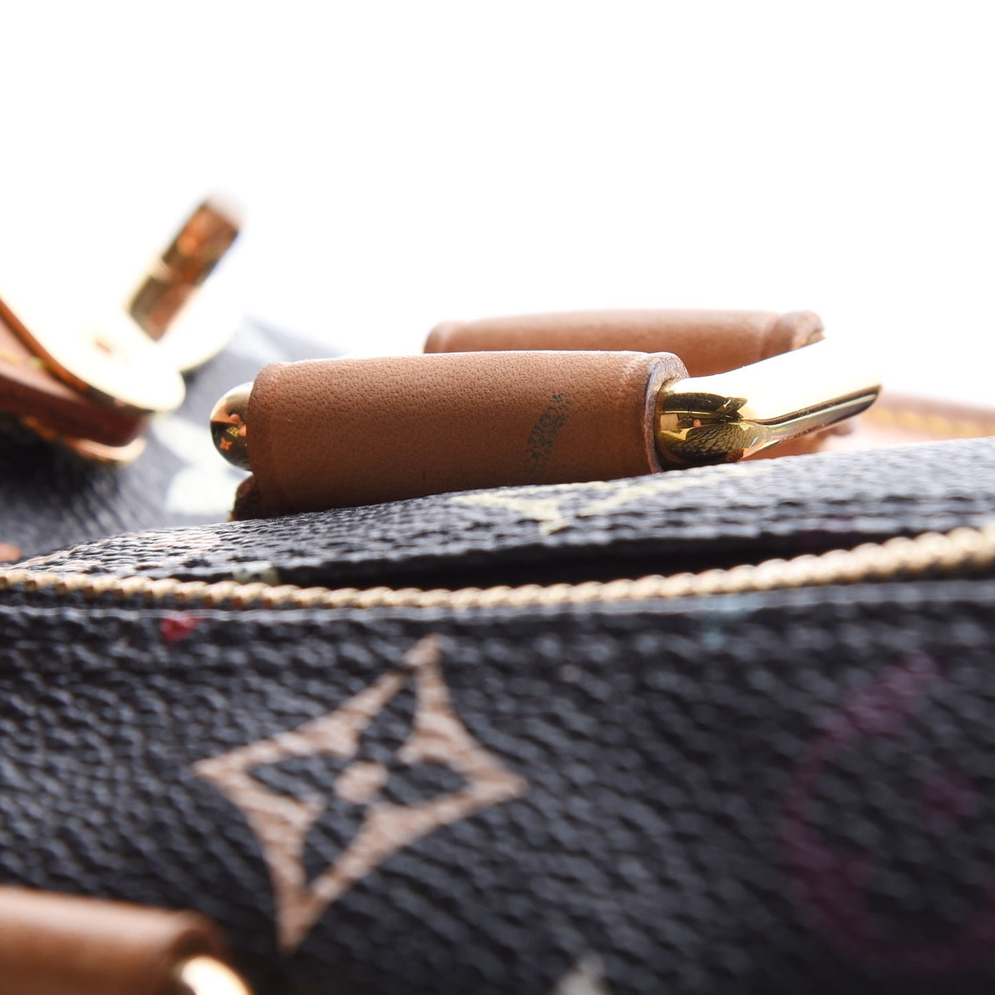 Monogram Multicolor Speedy 30 Black