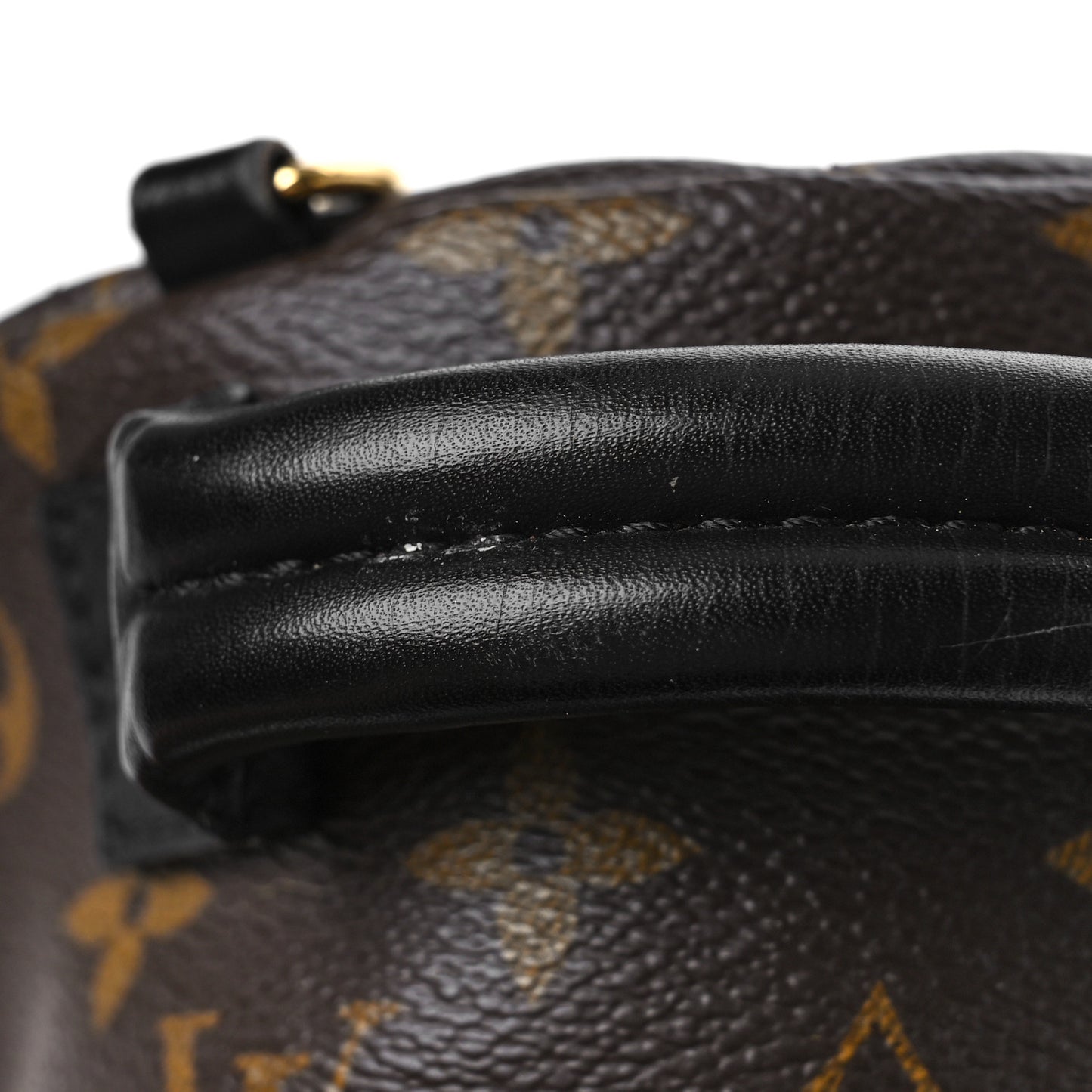 Monogram Palm Springs Backpack Mini