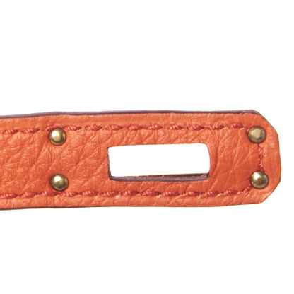 Hermes Togo Birkin 25 Terre Battue 26 of 34