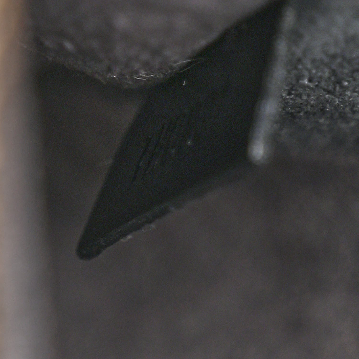 Louis Vuitton Epi Sablons Black 7 of 11