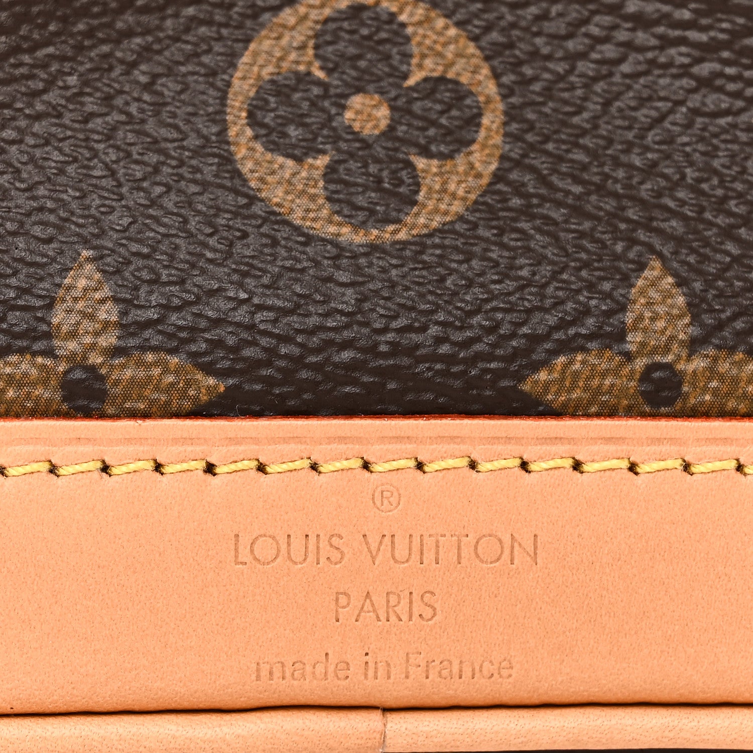 Louis Vuitton Monogram Nano Noe NV 6 of 10