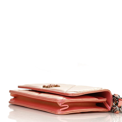 Chanel Iridescent Calfskin Quilted Chanel 19 Wallet On Chain WOC Pink 10 of 11