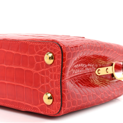 Louis Vuitton Alligator Capucines BB Red 8 of 9