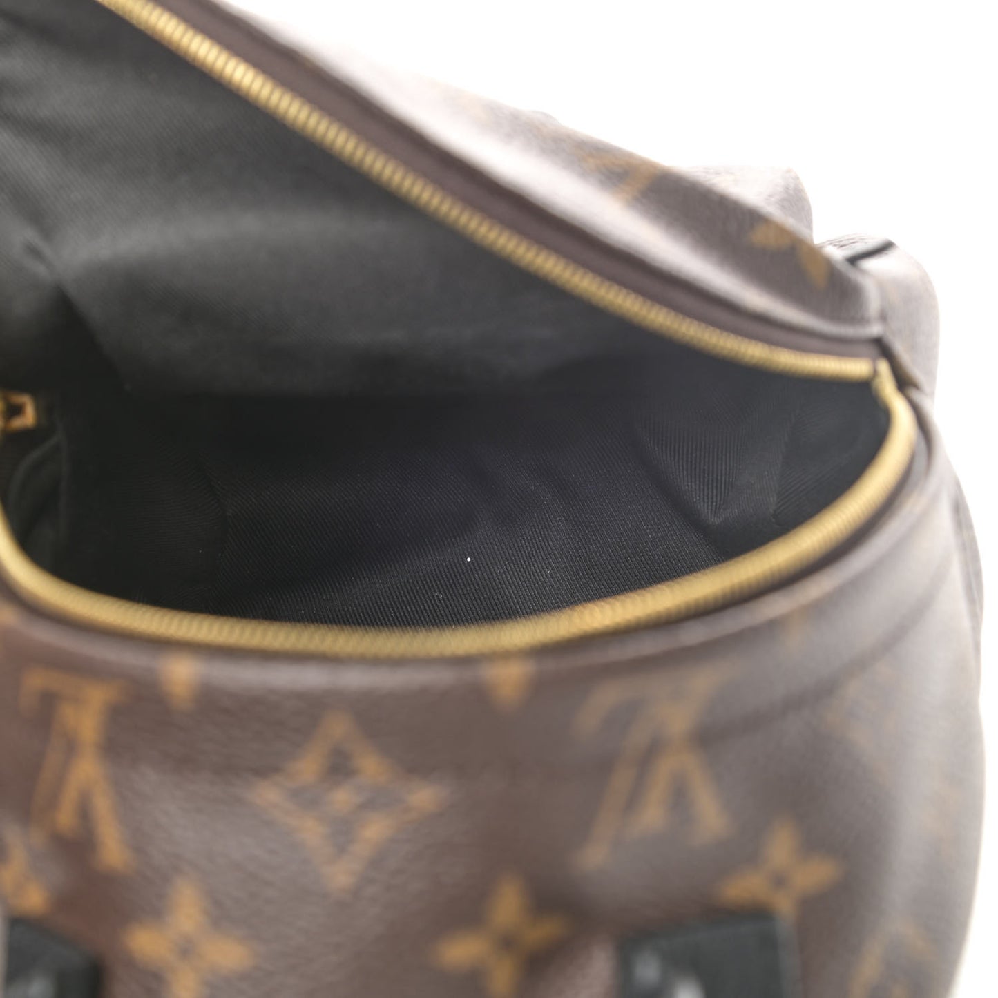 Monogram Palm Springs Backpack Mini