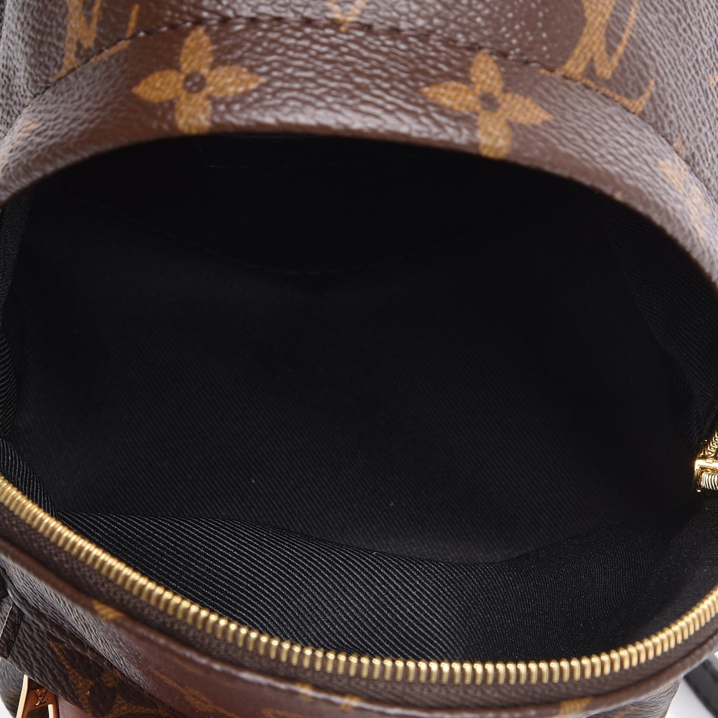 Monogram Palm Springs Backpack Mini