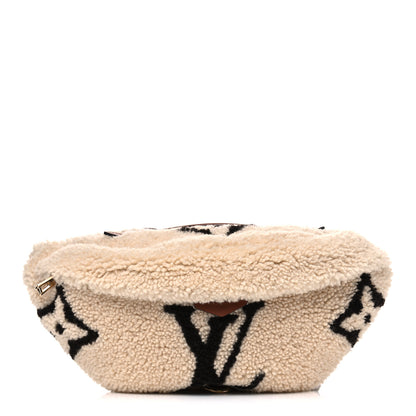 Louis Vuitton Monogram Teddy Bumbag 1 of 4